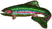 trout show xenoestrogens